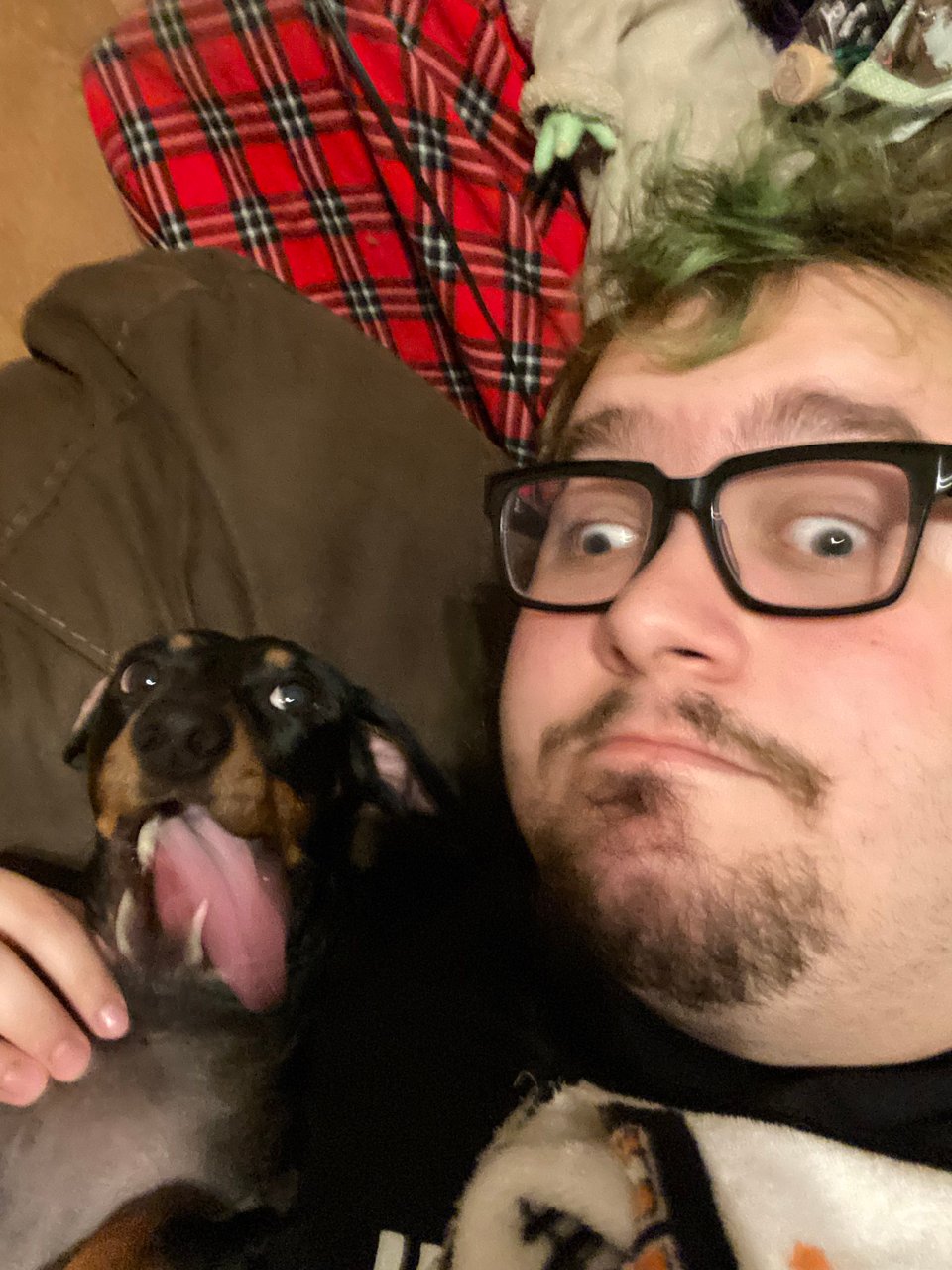 human and dog lounging