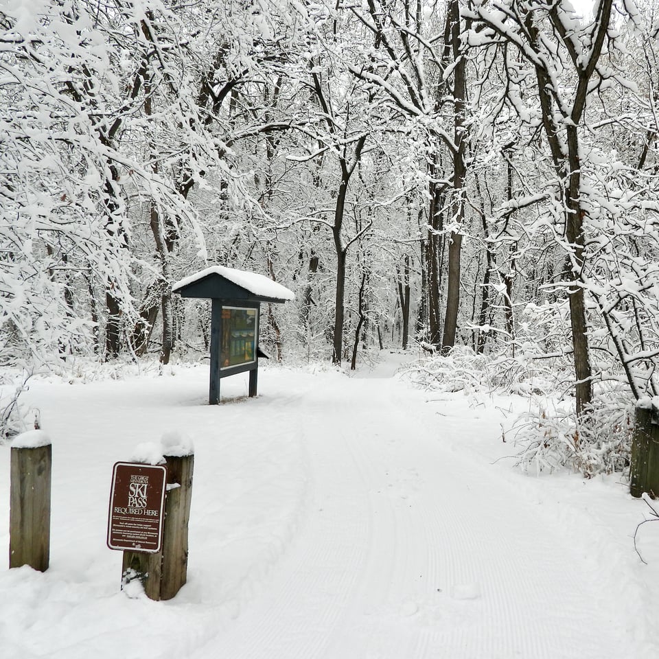 Once it snows enough, cross-country ski trails will be groomed at several locations, including the Sand Point Trail. / Photo by Steve Dietz