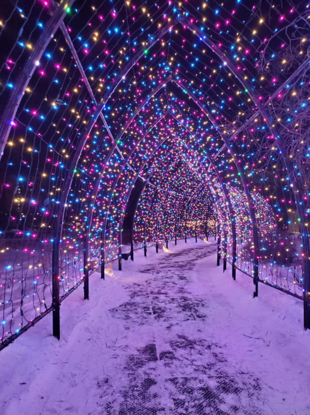 A pathway winds through the snow, enclosed by a trellis of small, colourful lights.
