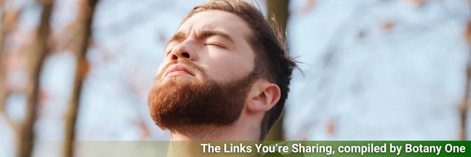 A beardy man in a forest with eyes closed facing the winter sun.