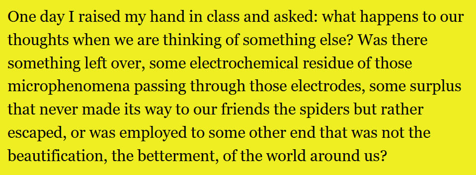 An excerpt from the short story "The Last Spiderbox" by NM Whitley which reads:One day I raised my hand in class and asked: what happens to our thoughts when we are thinking of something else? Was there something left over, some electrochemical residue of those microphenomena passing through those electrodes, some surplus that never made its way to our friends the spiders but rather escaped, or was employed to some other end that was not the beautification, the betterment, of the world around us?