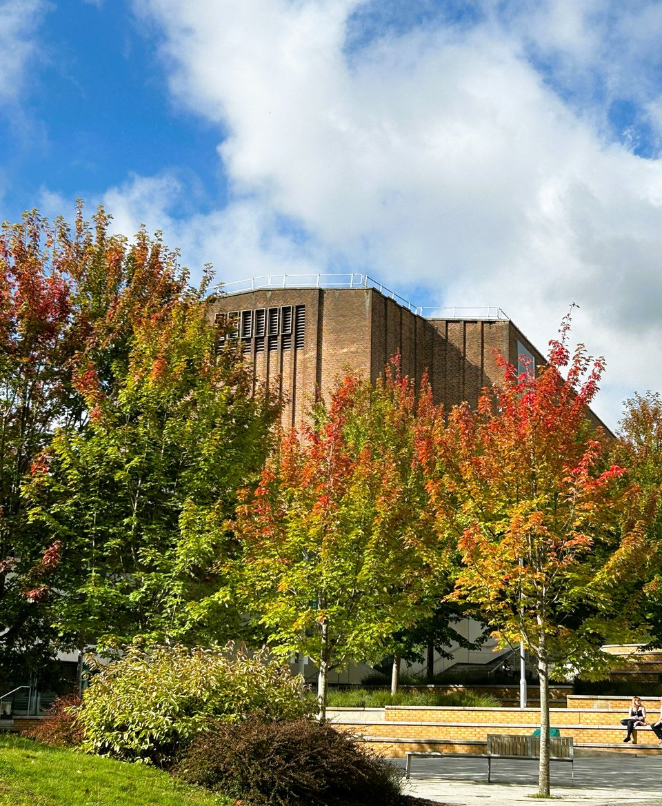 A large brick hall with vertical detailing created through recesses behind some trees that are shading perfectly from red to green. A lone student sits on the ranked steps.