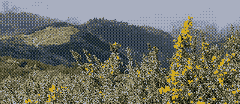 A dithered landscape