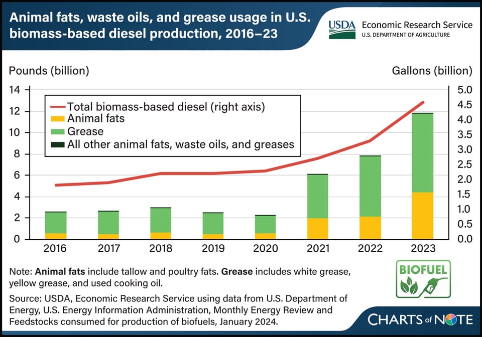 Graph of biomass diesel rising from about 1.8 billion gallons in 2016 to 4.6 billion gallons in 2023 with a bar chart showing the raw materials from which the biodiesel is produced, with a marked recent increase in grease, which includes used cooking oil
