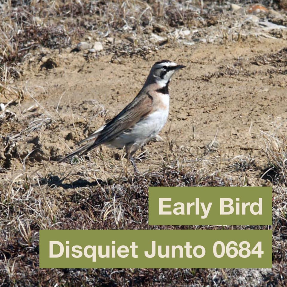 A photo of a lark on grass, plus the name and number of the project
