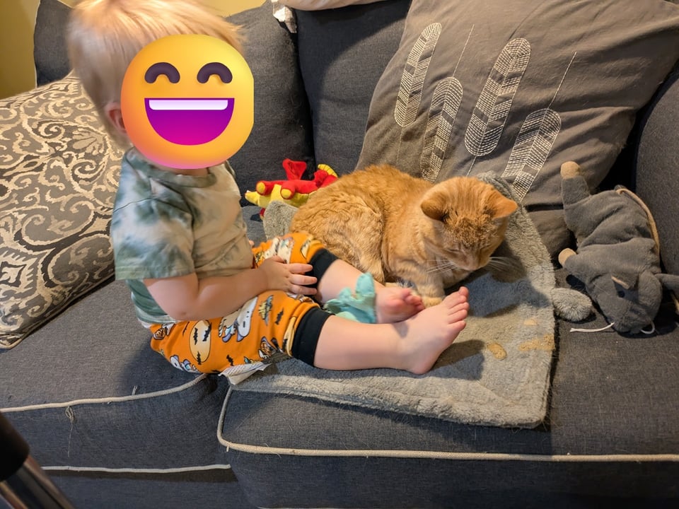 A toddler, face covered by an emoji, sitting on a couch with an orange cat and several cat toys.