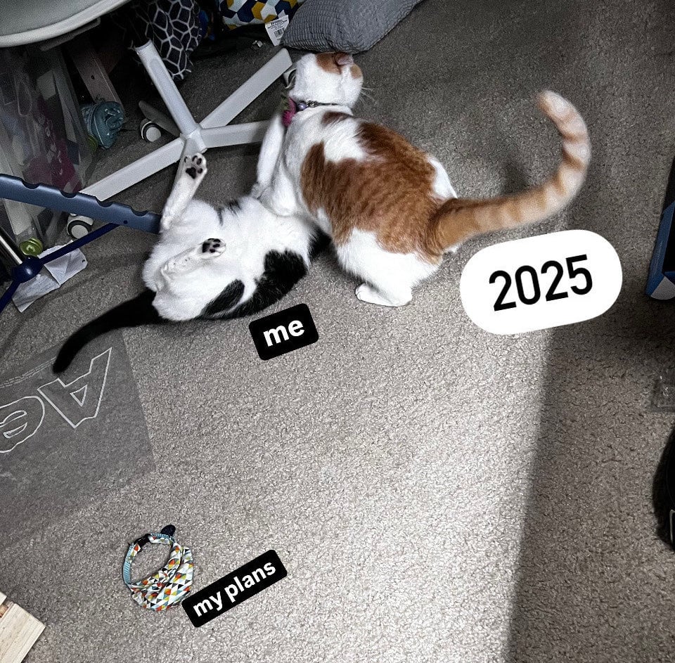 Two cats wrestling. The one on the ground is labeled "me", the one doing the pinning is labeled "2025" and a color across the room is labeled "my plans".