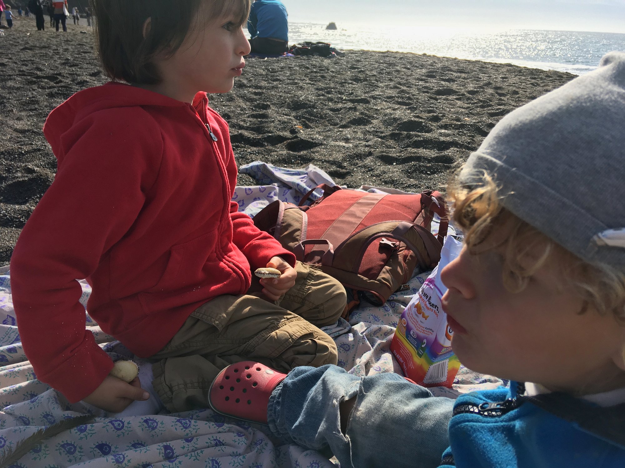 Notes from the Deaf Baby Instruction Manual logo