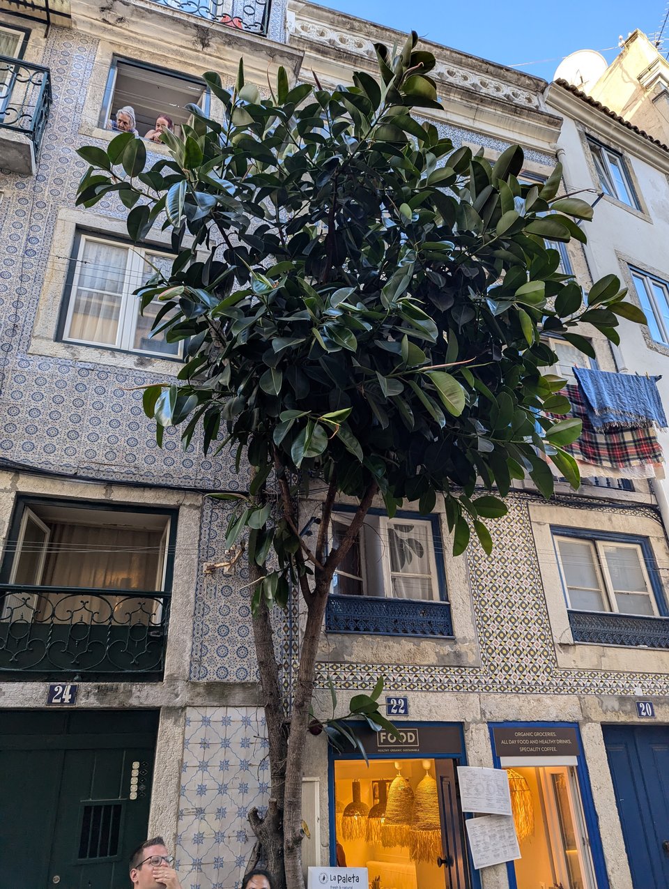 248.4 - Lisbo-ahhhh!