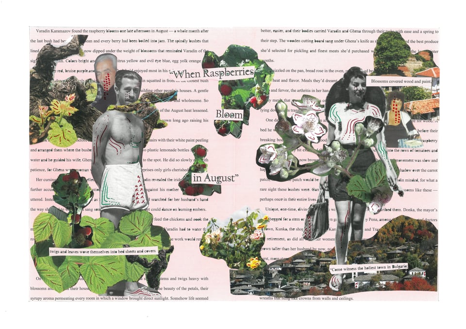 A collage: black and white images of a man and a woman, alongside color pictures of raspberry bushes, flowers, and fruits, superimposed over text. The title, "When Raspberries Bloom in August," is in the center.