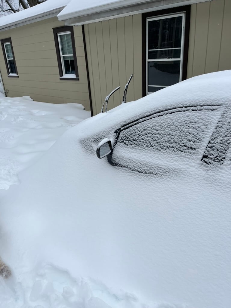 vverb's Plex Newsletter, March 2026