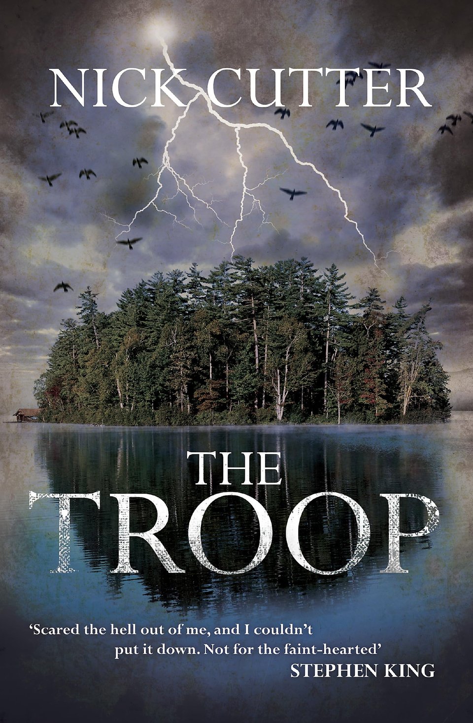 lightning explodes over a heavily wooded island as birds take flight, a gloomy, darkened sky, with bold white letters The Troop