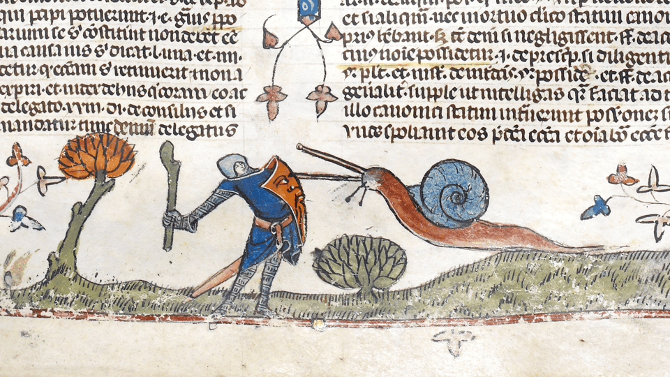 A close-up of a medieval manuscript, at the bottom of the page. In the bottom margins, there is a colorful drawing of a knight, holding up a shield, while being attacked by an enormous snail.