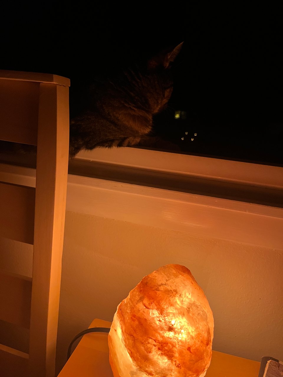dim picture of Nettle the cat in the windowsill at night, lit by a orange glowing salt lamp