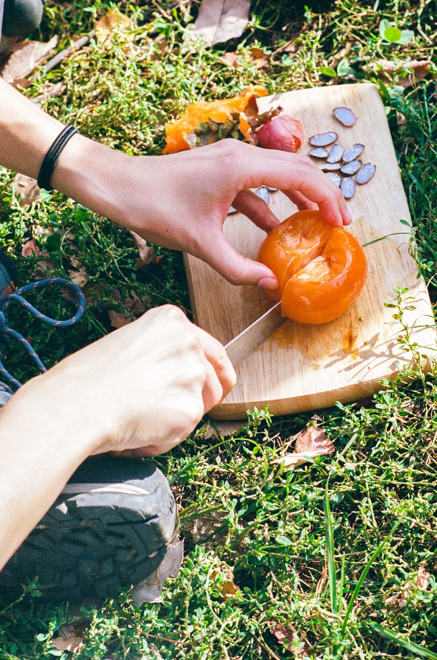 cutting persimmon