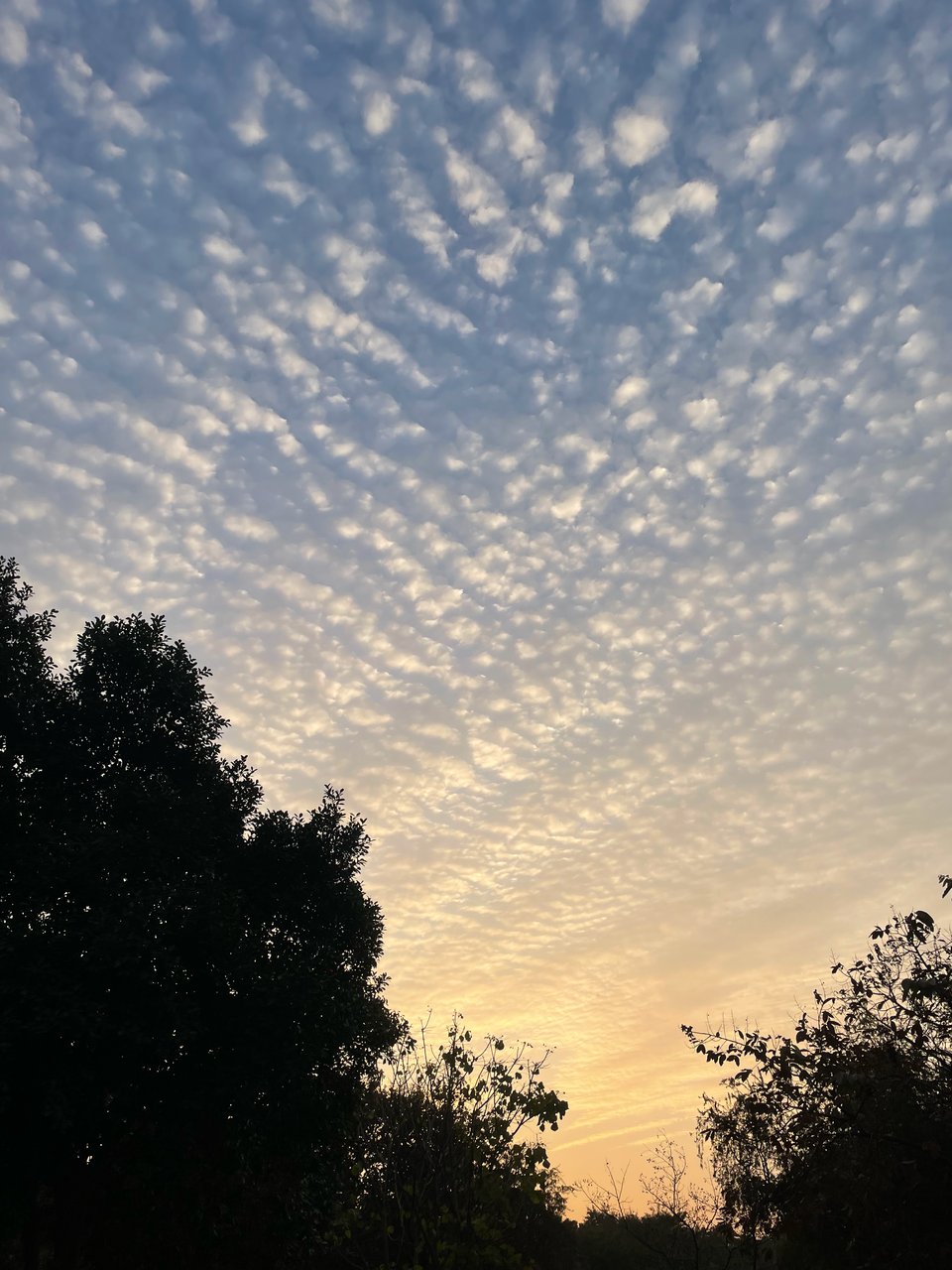 “Don't criticize what you can't understand.” - Bob Dylan