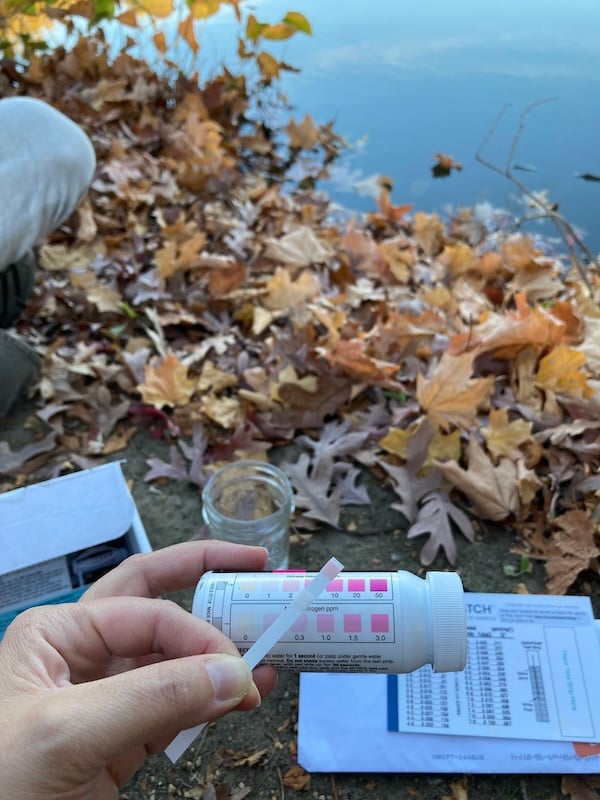 Hand hold water test strip with Pompeston Creek in the background.