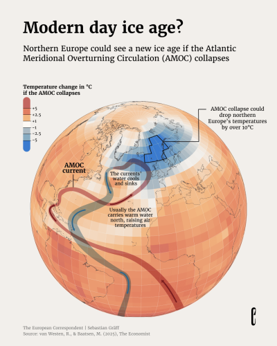 650: quantum of sollazzo
