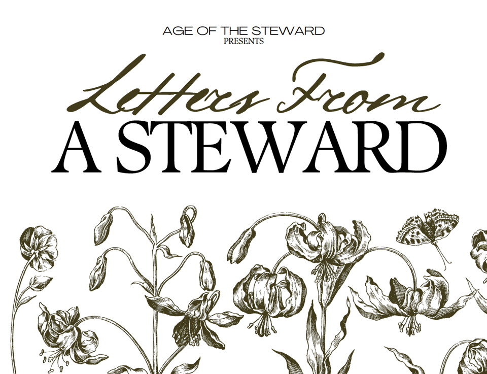 The title page for Letter from a Steward