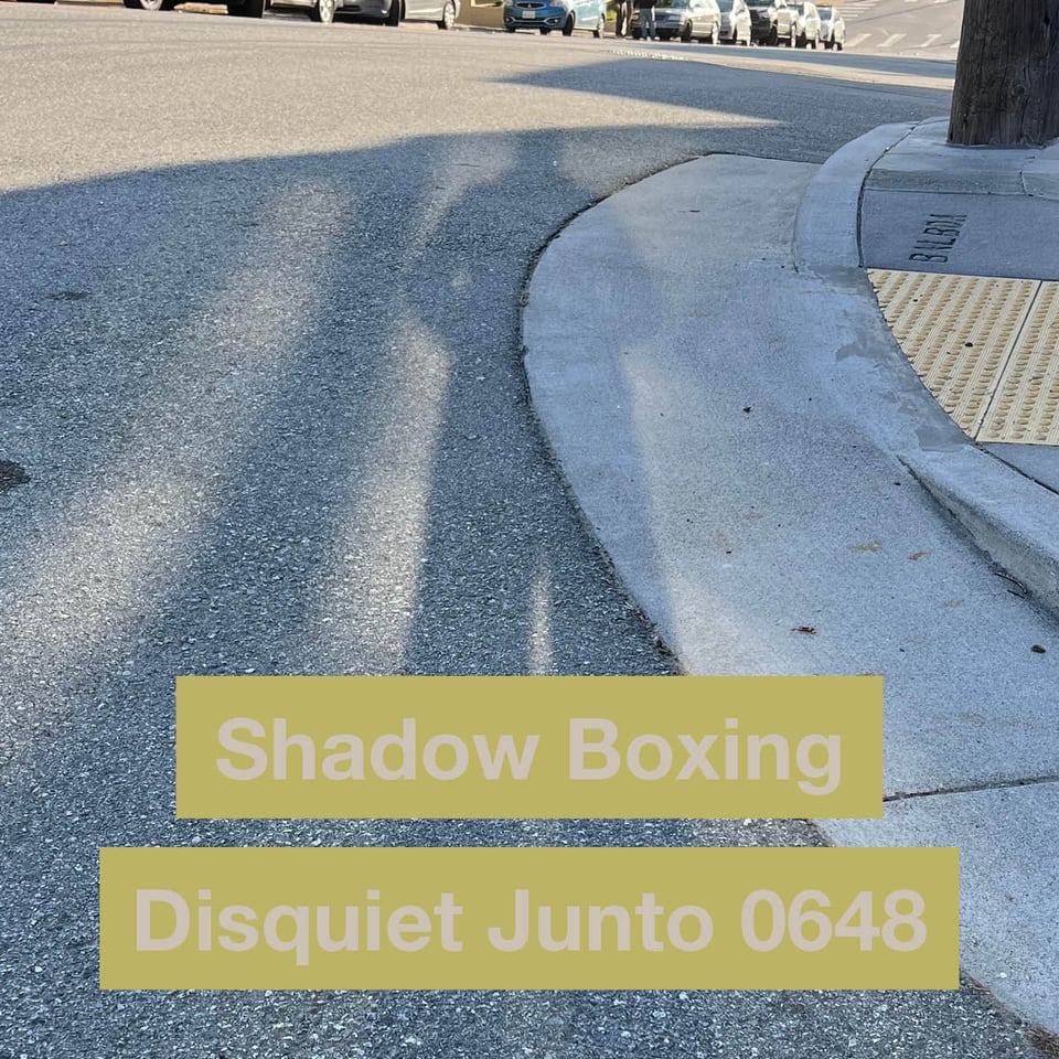 This shows the shadow of a person against a city street, with the name and number of the project superimposed
