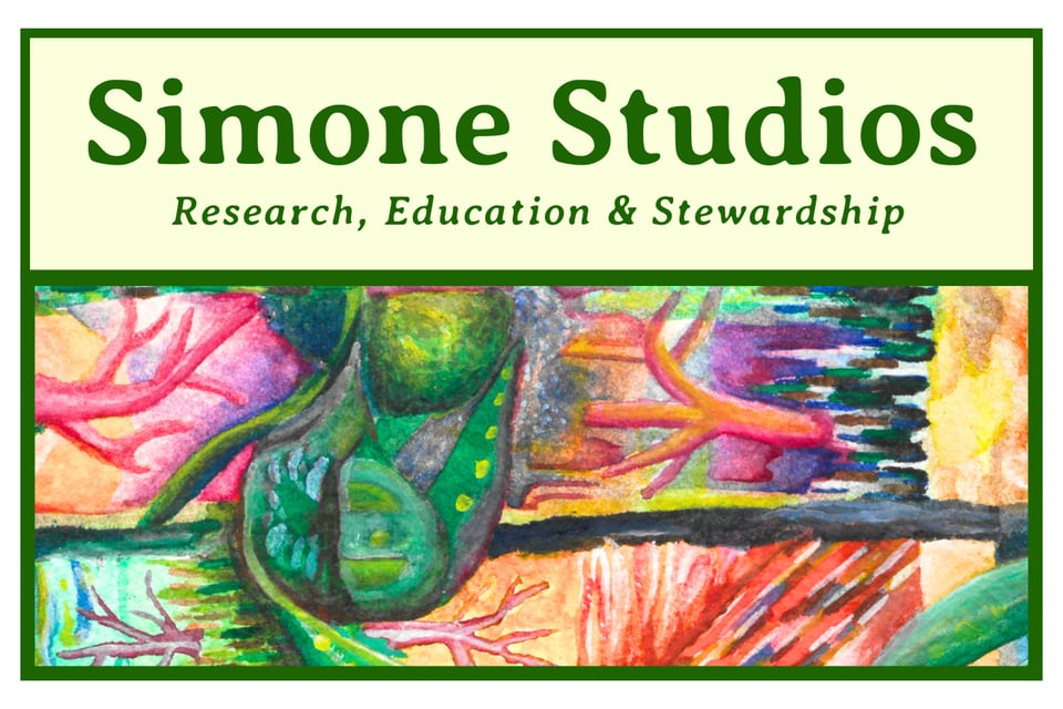 A banner that reads - line one: 'Simone Studios' - Line two:"Research, Education and Stewardship" - below text is a colorful, surreal landscape featuring trees, architecture, and abstract figures.