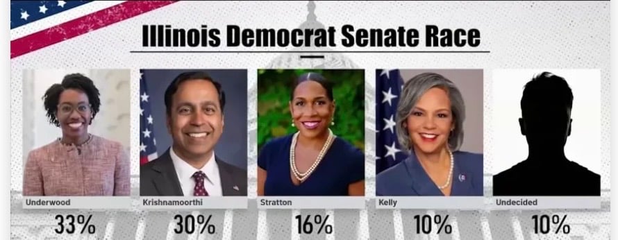 the candidates for Senate in Illinois