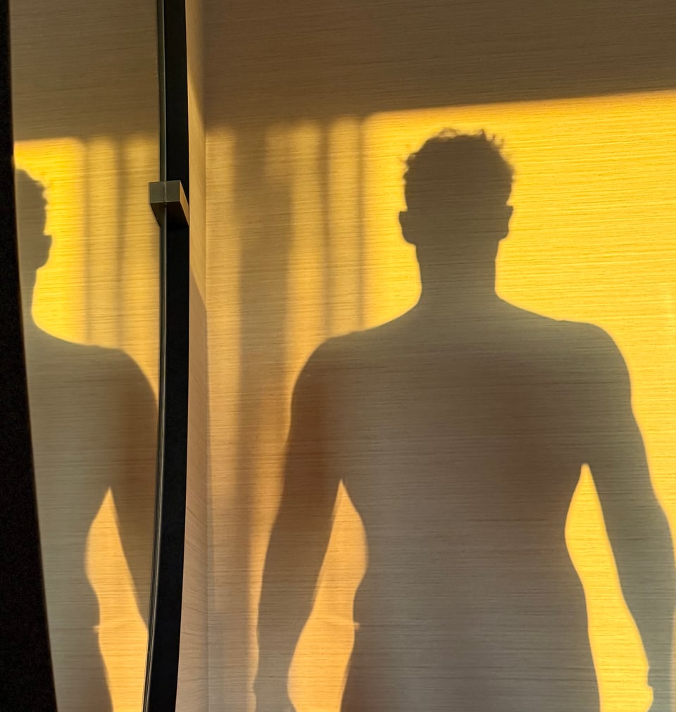 photo of shadow of man’s upper body against a gold-tinted wall. A mirror to the left reflects the shadow