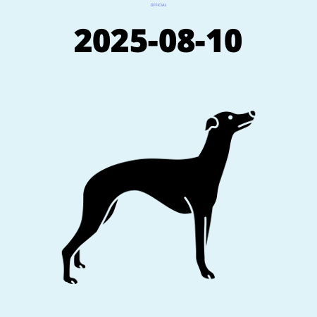 Silhouette of a whippet