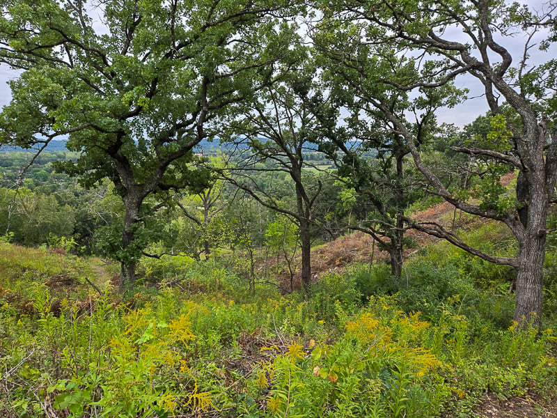 So many beautiful overlooks grace two trails in the newest part of Frontenac State Park. Read on for more info about them. / Photo by Pamela Miller