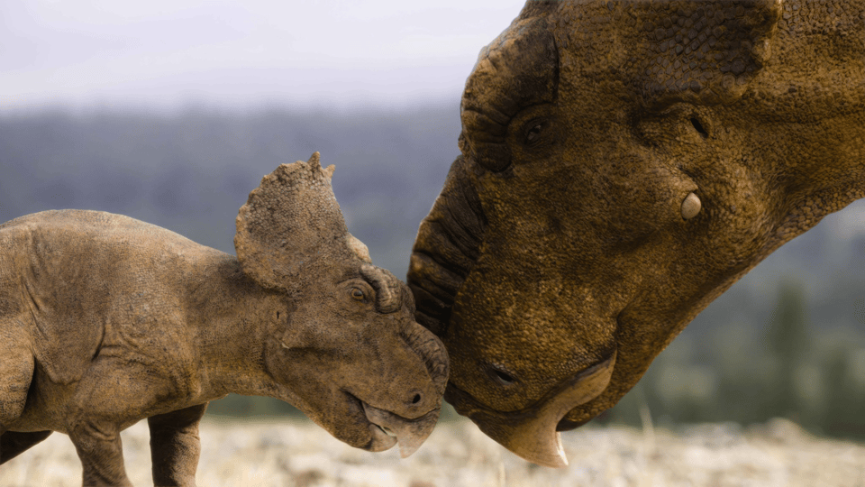 I Want My DinoTV: Walking With Dinosaurs E5