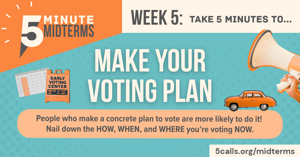 Do you have a plan to vote?