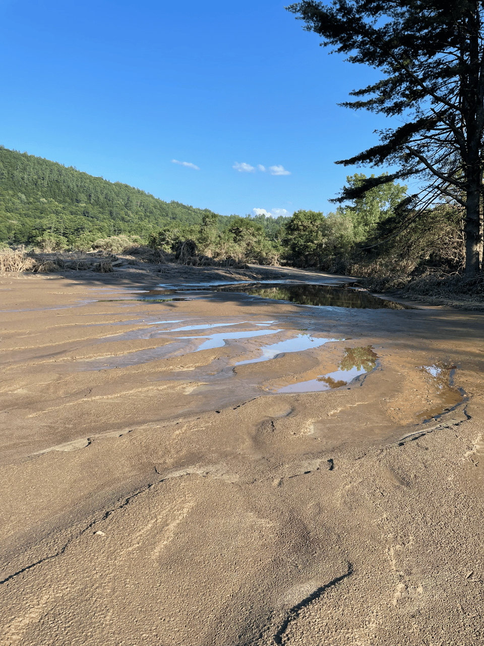 Flood muck has changed the landscape - it's completely covering a 3ft guardrail in this photo