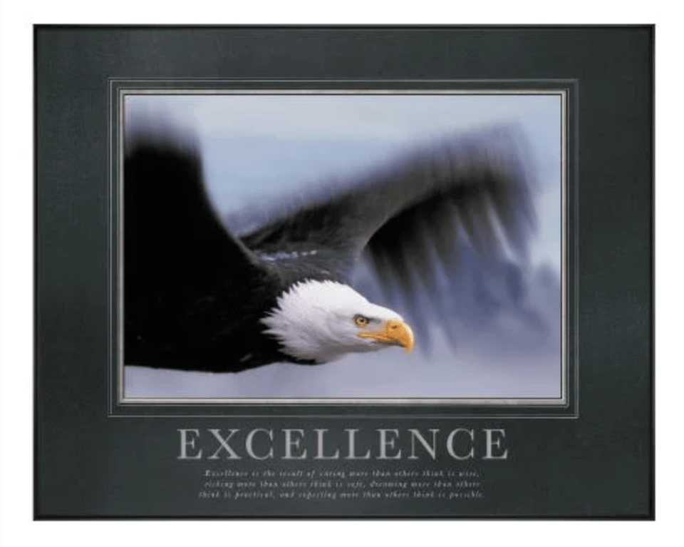 A photo of an bald eagle soaring with the word EXCELLENCE underneath