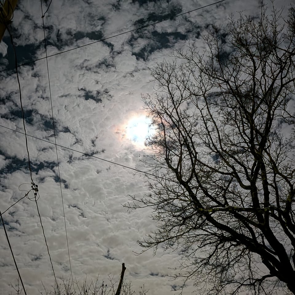 A photo of the night sky, where the supermoon is hidden behind thin ripply clouds and is so bright that the clouds are illuminated. In the foreground, the empty branches of a tree reach into the moon's sphere.