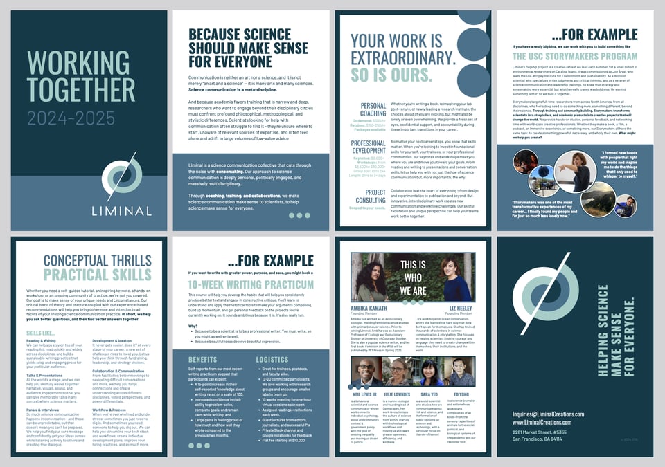 Screenshot of our brochure laid out as an eight-page spread. It's a graphic, monochromatic design in blue and white