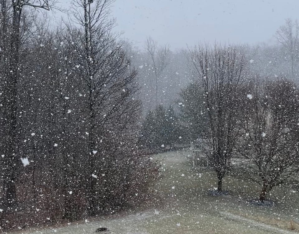 A photo of lots of thick clumped snowflakes dumping down on a lawn area between bare trees