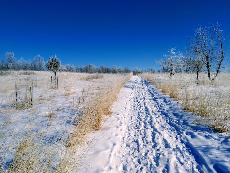 We so hope that we’ll get enough snow to make this and other park trails suitable for cross-country skiing. / Photo by Jake Gaster