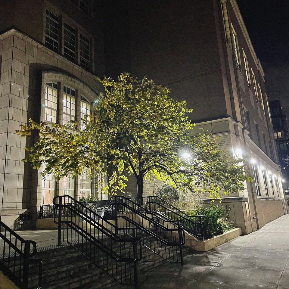 a tree is backlit by night time security light in NYC and glows eerily