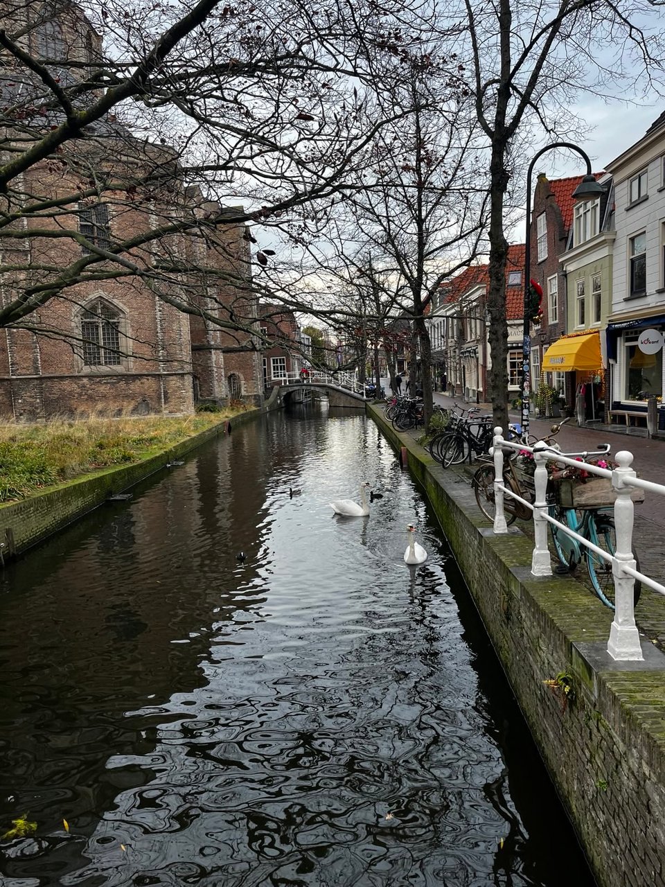 A canal with two swans in the water. A canopy of trees over the canal. Bicycles parked by the canal railing. A historic church can be seen in the background.