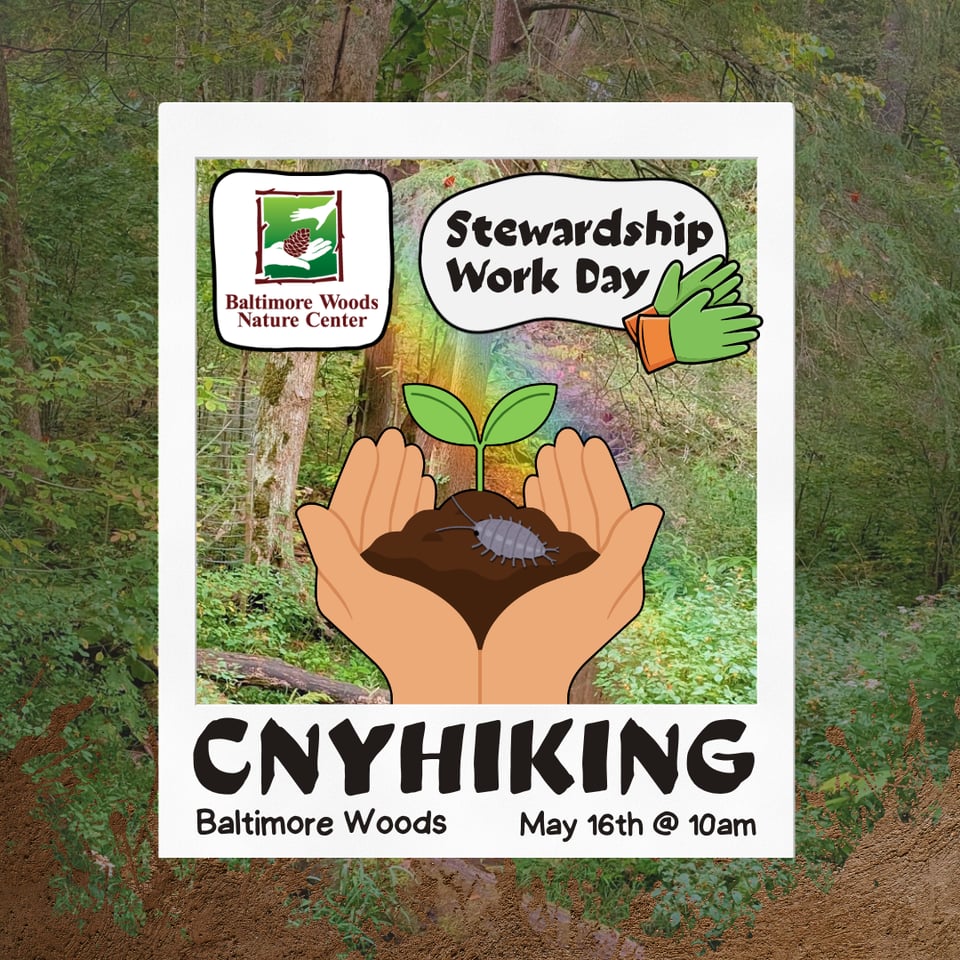 🌈 Upcoming Stewardship Day at Baltimore Woods! 5/16 @ 10AM