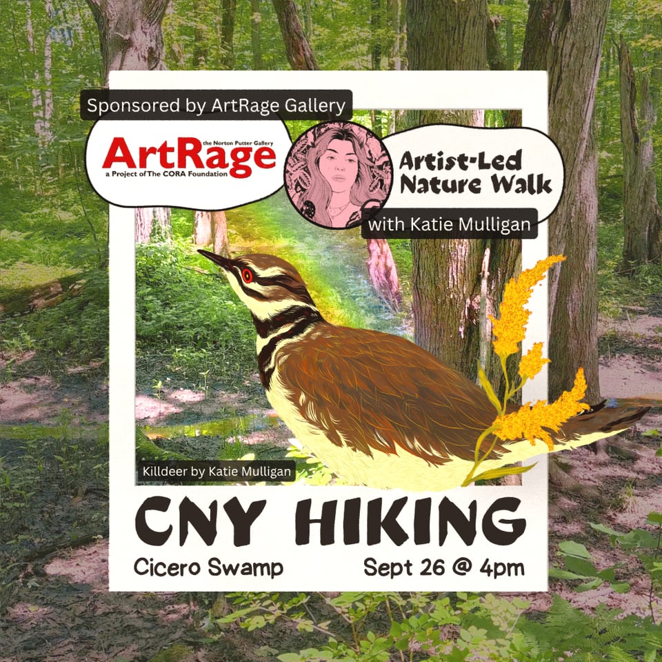 CNY Hiking artist-Led Nature Walk at Cicero Swamp September 26th at 4 pm, with Katie Mulligan and Sponsored by ArtRage Gallery