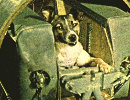 Laika saying goodbye before liftoff