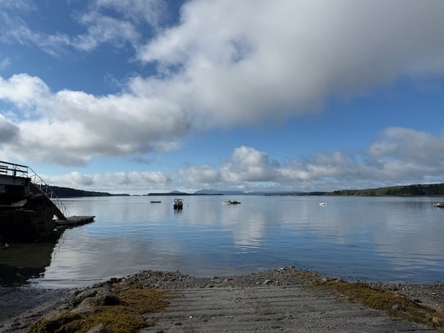 A serene coastal scene under a wide blue sky scattered with low, fluffy clouds. Calm water stretches out toward the horizon, reflecting the clouds and sky. Small boats float in the distance. A weathered concrete boat ramp leads down from the foreground into the water, framed by patches of seaweed. To the left, a wooden dock with stairs juts out into the water. A line of dark trees borders the right-hand edge of the bay.
