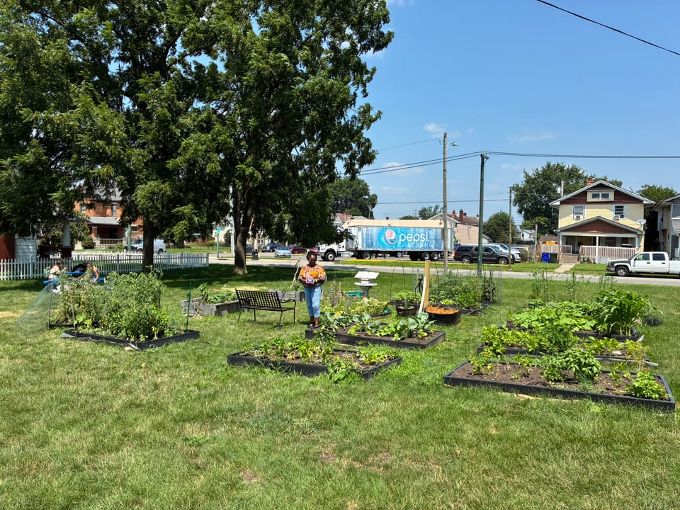 Garden beds installed - Director Chi Adeliyi surveying the initial fruits of her labors (and the labors of many other helpers too!)