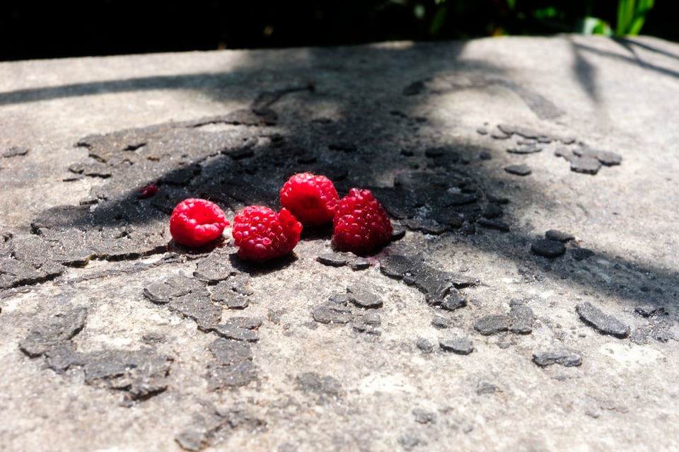 berries on a podium