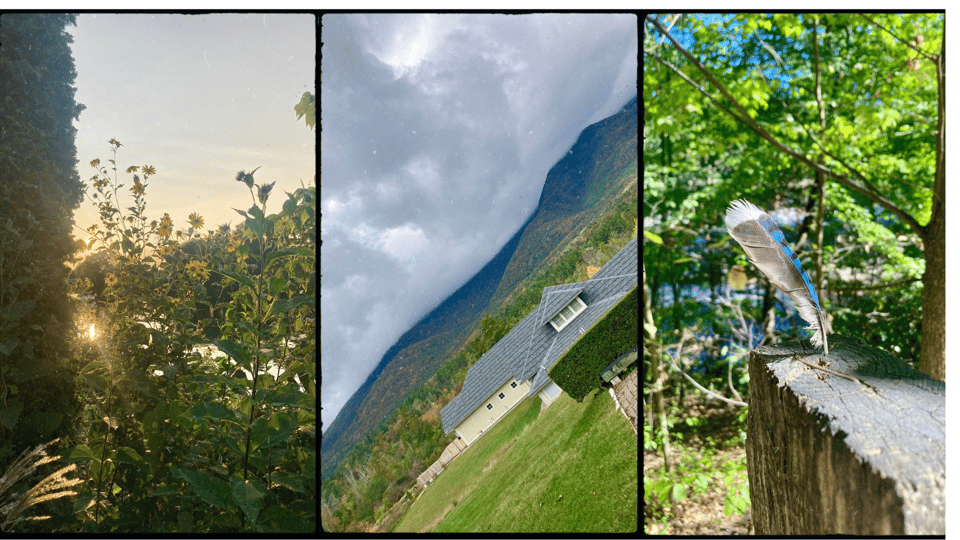 three photos in a grid. L-R: a photo of yellow flowers along a river with dusk sunlight; very low clouds over Vermont mountains; a blue and gray feather stuck into a fence rail.