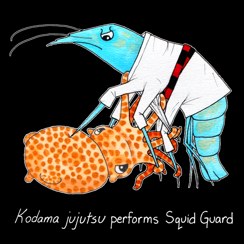 On a black background, an orange-brown pygmy squid and a blue-green shrimp grapple and glare at each other. The shrimp is wearing a white gi with a black and red striped belt. The squid is naked except for its chromatophores, and it grips the shrimp's gi lapel in a complex move, also using its plethora of arms to grip several of the shrimp's legs and the gi collar. The squid has skin tags behind its eyes and a protrusion on the tip of its mantle. The text reads "Kodama jujutsu performs Squid Guard."