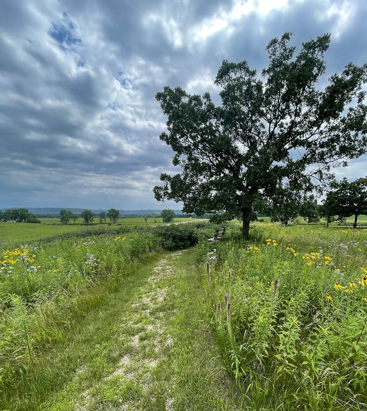 The guided prairie path near park headquarters. / Photo by Amy Jay