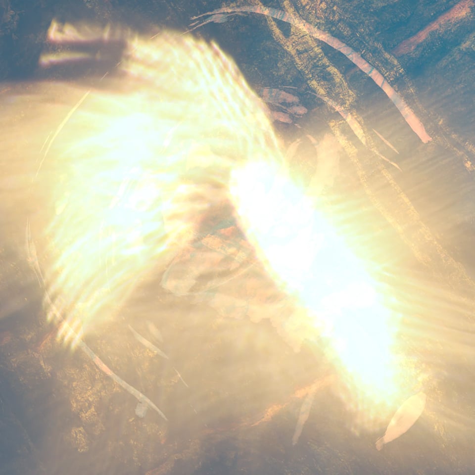 An abstract design made by layering photos of lights.