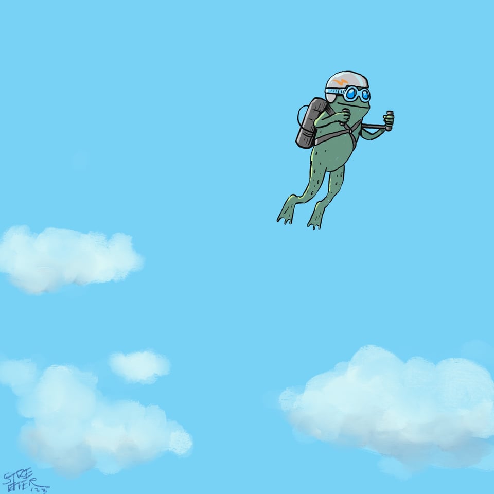 Color illustration of a frog riding a jetpack above the clouds